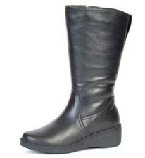 F1F1 ED591-01F10  сапоги зимние Francesco Donni