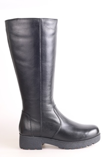 F1F2 4J602-02U08 Сапоги женские зимние Francesco Donni