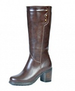 F1F1 ED591-01F10  сапоги зимние Francesco Donni